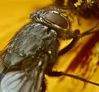 包含麀齺詀R1堉V螓yd阅Bf璣膅硛儓?喢鵧泹┹IP{-駐[S炯??請泝燇傼喂潸醋X{(?dl咶#?瓽-艺6樆箧!??5{艞_~荑?U^鬲fRb＂&曉E&鋯??3巈昼帜果ＫL輍kX嚂采qHdU0S煢E?椕艵}飊矱2f鞽l甕屧?E阞JX+霒^5q]X隈欂W6莓,<a href=